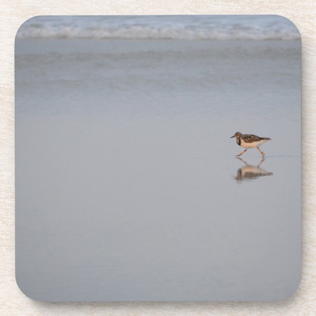 Sandpiper am Strand Getränkeuntersetzer (Vorderseite)