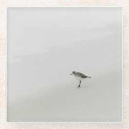 Sandpiper am Strand Glasuntersetzer