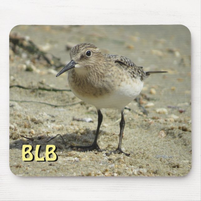 Sandpiper am Strand mit Ihren Initialen Mouse Pad Mousepad (Vorne)