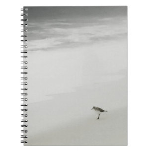 Sandpiper am Strand Notizblock