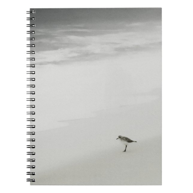 Sandpiper am Strand Notizblock (Vorderseite)