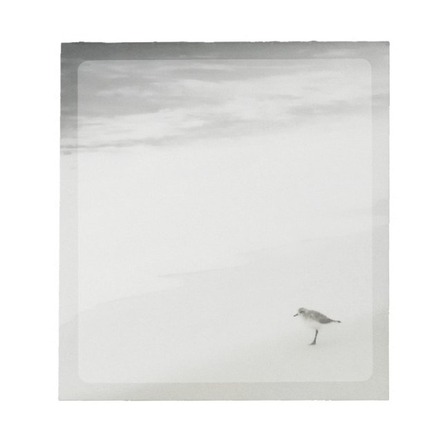 Sandpiper am Strand Notizblock (Vorderseite)