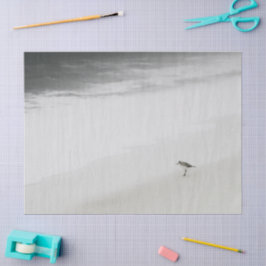 Sandpiper am Strand Seidenpapier
