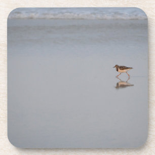 Sandpiper Bird Beach Wildlife Nature Foto Getränkeuntersetzer