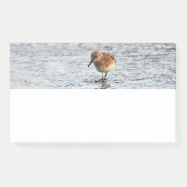 Sandpiper Bird Foto Stationery Note Pad Post-it Klebezettel
