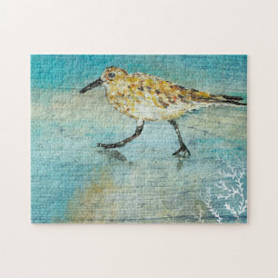 Sandpiper Coastal Bird Beach