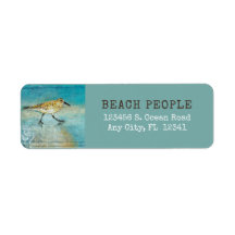Sandpiper Coastal Bird Beach Painted Art