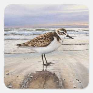 Sandpiper in Beach Bird Art Quadratischer Aufkleber