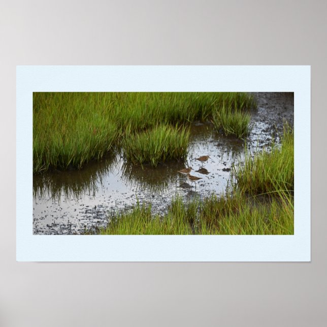 Sandpiper in Marshallplakat Poster (Vorne)