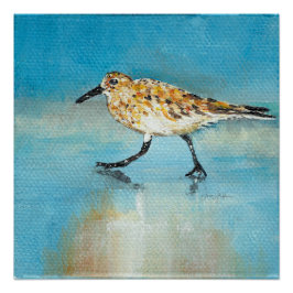 Sandpiper Malerei Art Print Poster