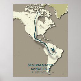 Sandpiper-Migrationskarte - Minimalistisch Poster
