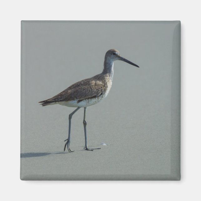 Sandpiper-Pose Magnet (Vorne)