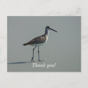 Sandpiper-Pose Postkarte