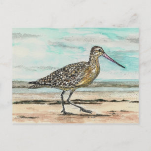 Sandpiper Postkarte