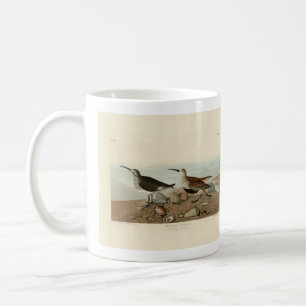 Sandpiper, rot unterlegt - Audubons Vögel in Ameri Kaffeetasse