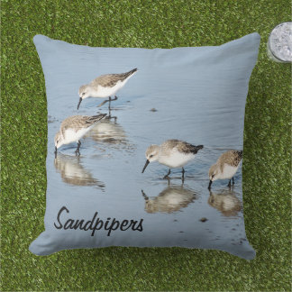 Sandpiper Sea Birds Throw Kissen
