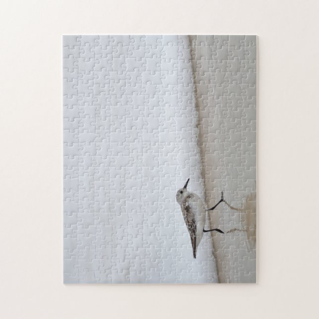 Sandpiper Shorebird Beach House (Vertikal)