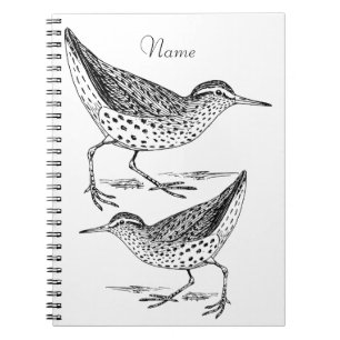 Sandpiper Shorebird Thunder_Cove Notizblock