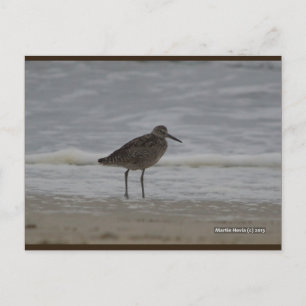 Sandpiper V Carte postale Blue Beach Song™
