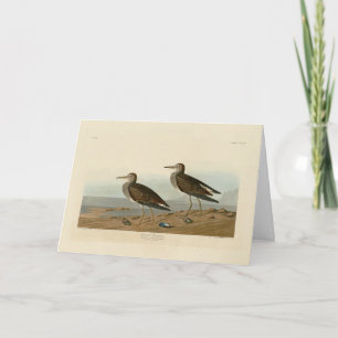 Sandpiper von Audubons Vögeln von Amerika Karte