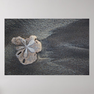 Sandpreis Poster