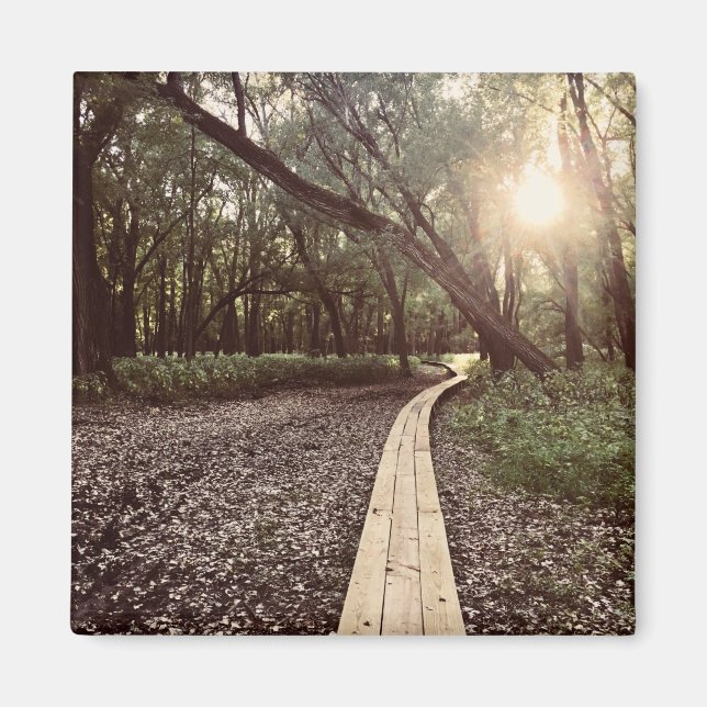 Sandpunktweg Minnesota Magnet (Vorne)