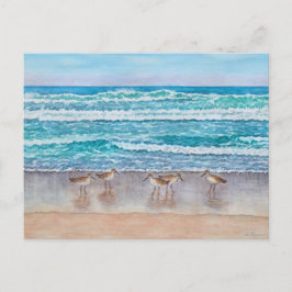 Sandregenpfeifer in der Monterey Bay Postkarte