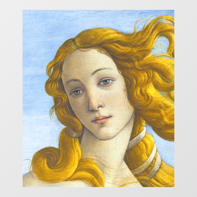 Sandro Botticelli - Geburt der Venus-Details Fensteraufkleber (Blatt)