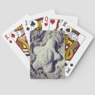 Sandschildkröten-Spielkarten Spielkarten