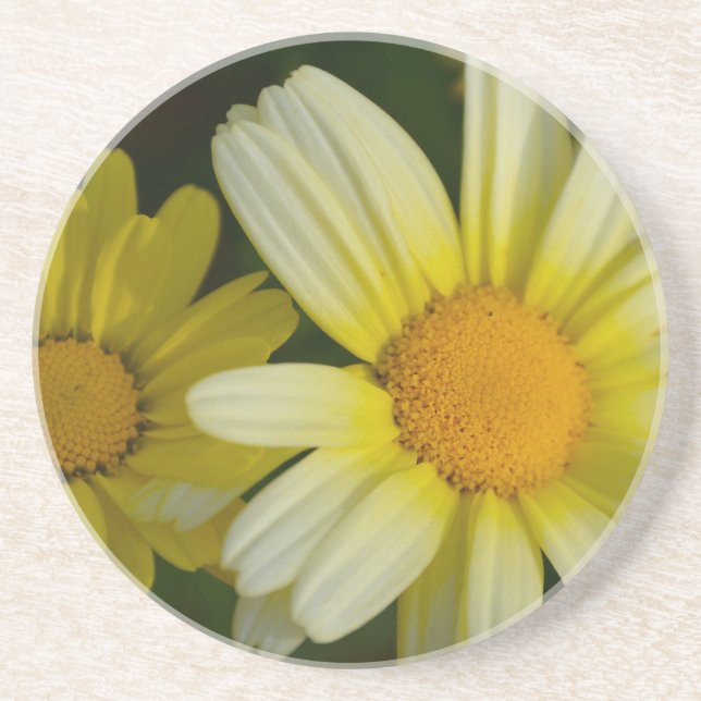 Sandstein Drink Untersetzer (Vorne)