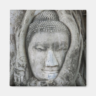 Sandstein-Kopf des Buddha, umgeben von einem Baum Magnet