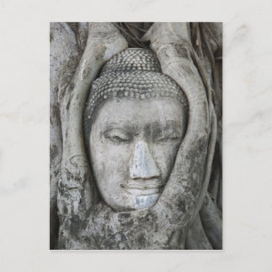 Sandstein-Kopf des Buddha, umgeben von einem Baum Postkarte