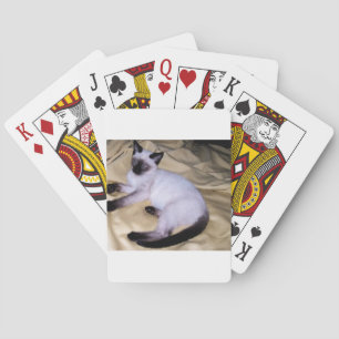 Sandsteintierkunst-Haustier der siamesischen Katze Spielkarten