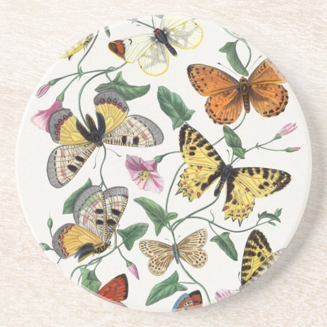 Sandstone Butterfly Antique Illustration Untersetz Getränkeuntersetzer (Vorne)