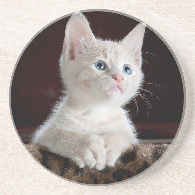 Sandstone Coaster lovers cats , for girls / gift Getränkeuntersetzer (Vorne)