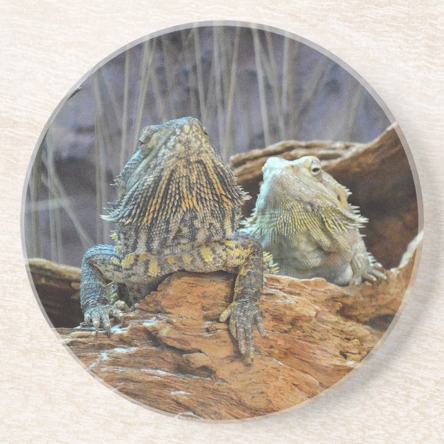 Sandstone Coaster with two curious lizards Getränkeuntersetzer (Vorne)
