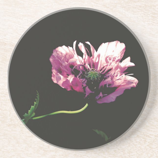 Sandstone Untersetzer (Vorne)