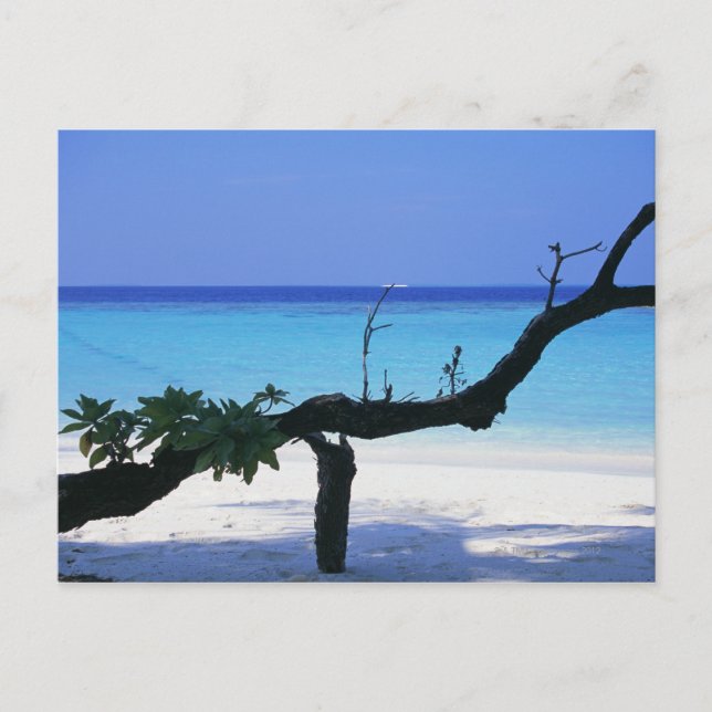 Sandstrand 8 postkarte (Vorderseite)