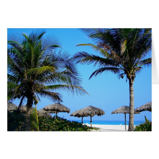 Sandstrand mit Palmen und Meerblick (Vorderseite (Horizontal))