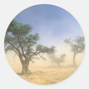 Sandsturm in der Kalahari-Wüste, Kgalagadi Runder Aufkleber