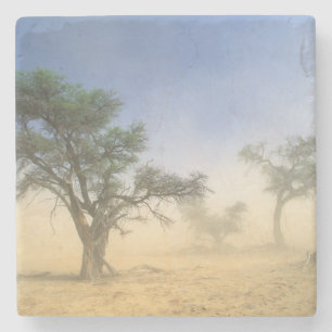 Sandsturm in der Kalahari-Wüste, Kgalagadi Steinuntersetzer