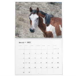 Sandwaschbecken - Kalender 2021
