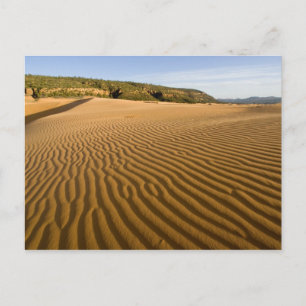 Sandwellen und Dünen im Coral Pink Sand 2 Postkarte