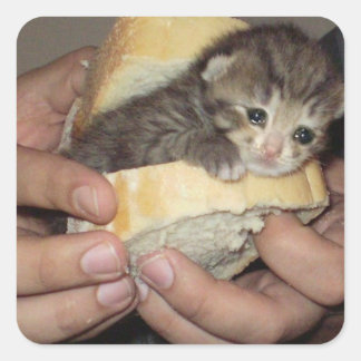 Sandwich Quadratischer Aufkleber