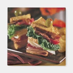 Sandwich Question Magnet