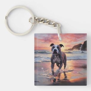 Sandy American Staffordshire Dog on Beach Sunset