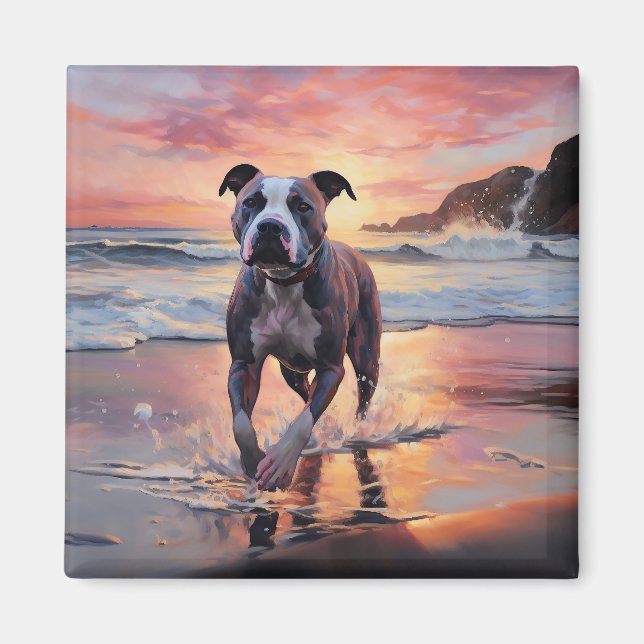 Sandy American Staffordshire Dog on Beach Sunset Magnet (Vorne)