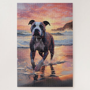 Sandy Amerikanischer Staffordshire-Terrier am Stra