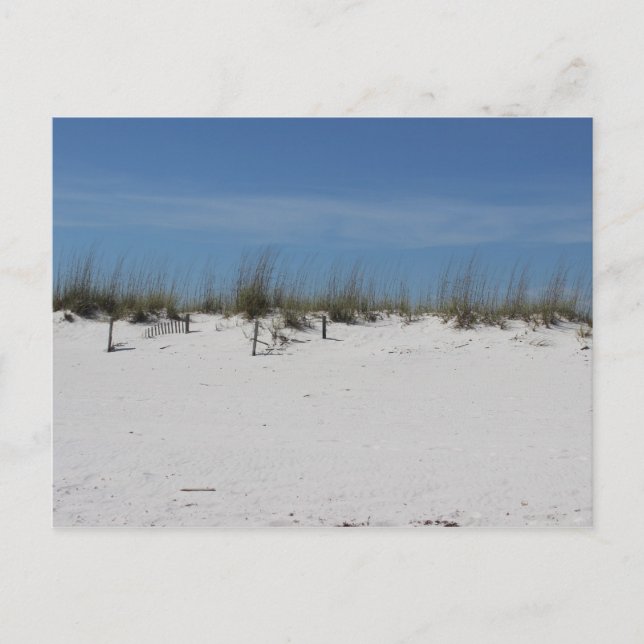 Sandy Beach Postkarte (Vorderseite)