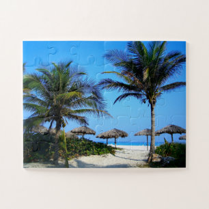 Sandy Beach With Palm Trees and An Ocean View
